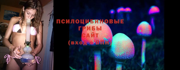 ECSTASY Баксан