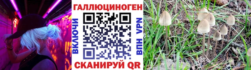 наркошоп Похвистнево Галлюциногенные грибы мицелий